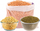 dals-pulses-cat.png